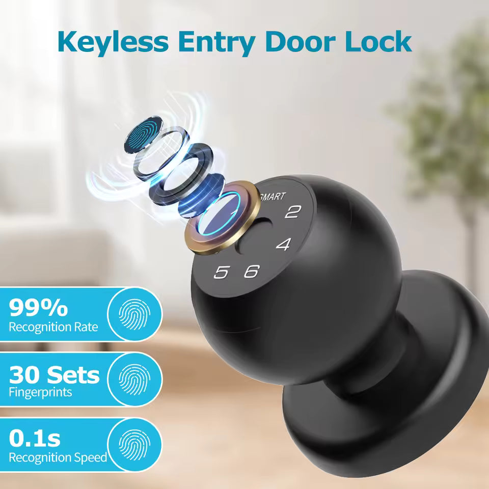 Viladepot Smart Lock Fingerprint Door Lock TYPE-C Interface App Control Passcode Unlock Electronic Touchscreen Keypad Indoor